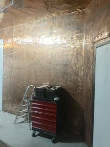 Cooper Faraday Cage