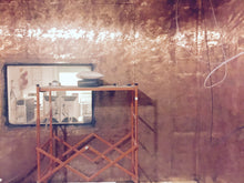 Cooper Faraday Cage